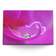 STOCKS_0031ZCxZLh4j00zQA_1280x1280.jpg