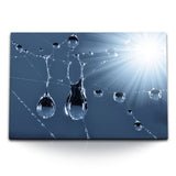 STOCKS_0100xf9YyNMUfP3ZD_1280x1280.jpg