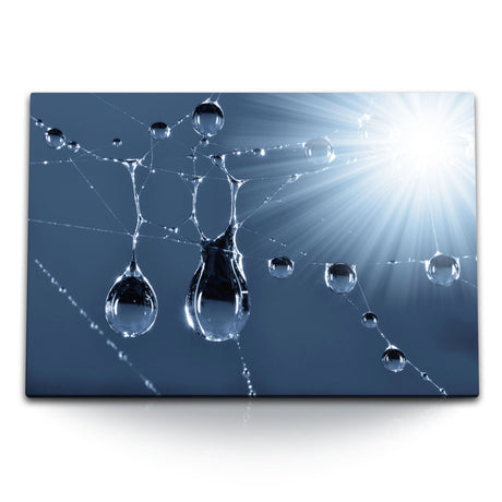 STOCKS_0100xf9YyNMUfP3ZD_1280x1280.jpg