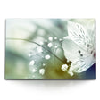 STOCKS_0179kOYt5yJ12WpvS_1280x1280.jpg