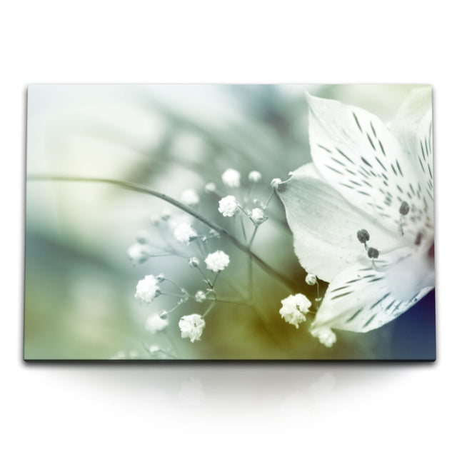 STOCKS_0179kOYt5yJ12WpvS_1280x1280.jpg