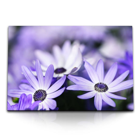 STOCKS_0071joOeyRh29wH4J_1280x1280.jpg