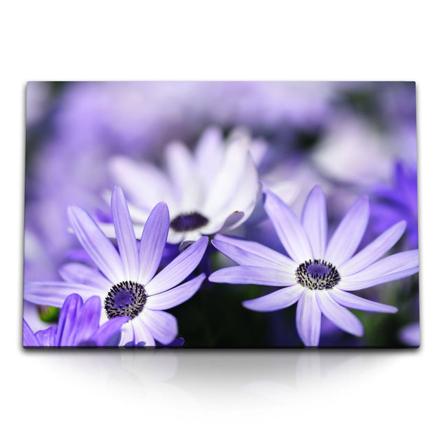 STOCKS_0071joOeyRh29wH4J_1280x1280.jpg
