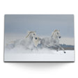 STOCKS_1775UvQV4aXSxMKcC_1280x1280.jpg