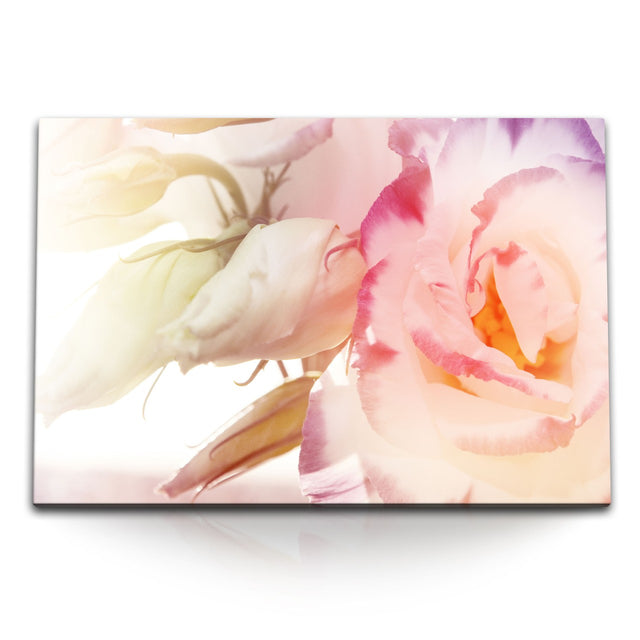 STOCKS_0459tRYk8EGdZ7LAL_1280x1280.jpg