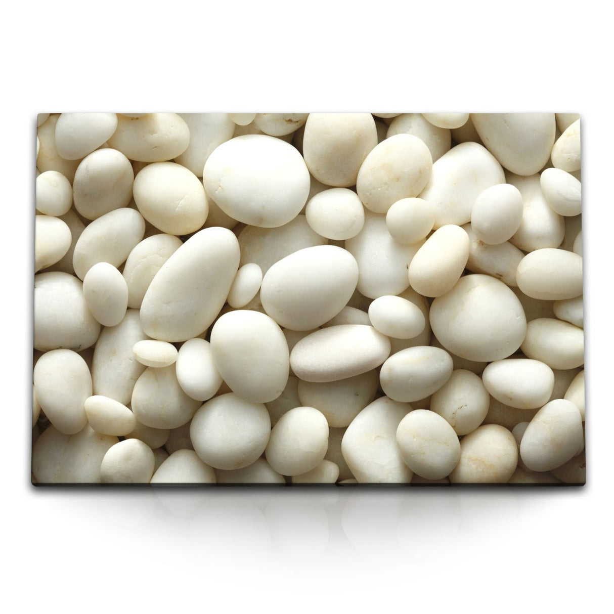 STOCKS_0823Cydk9Eeu2RLQ6_1280x1280.jpg
