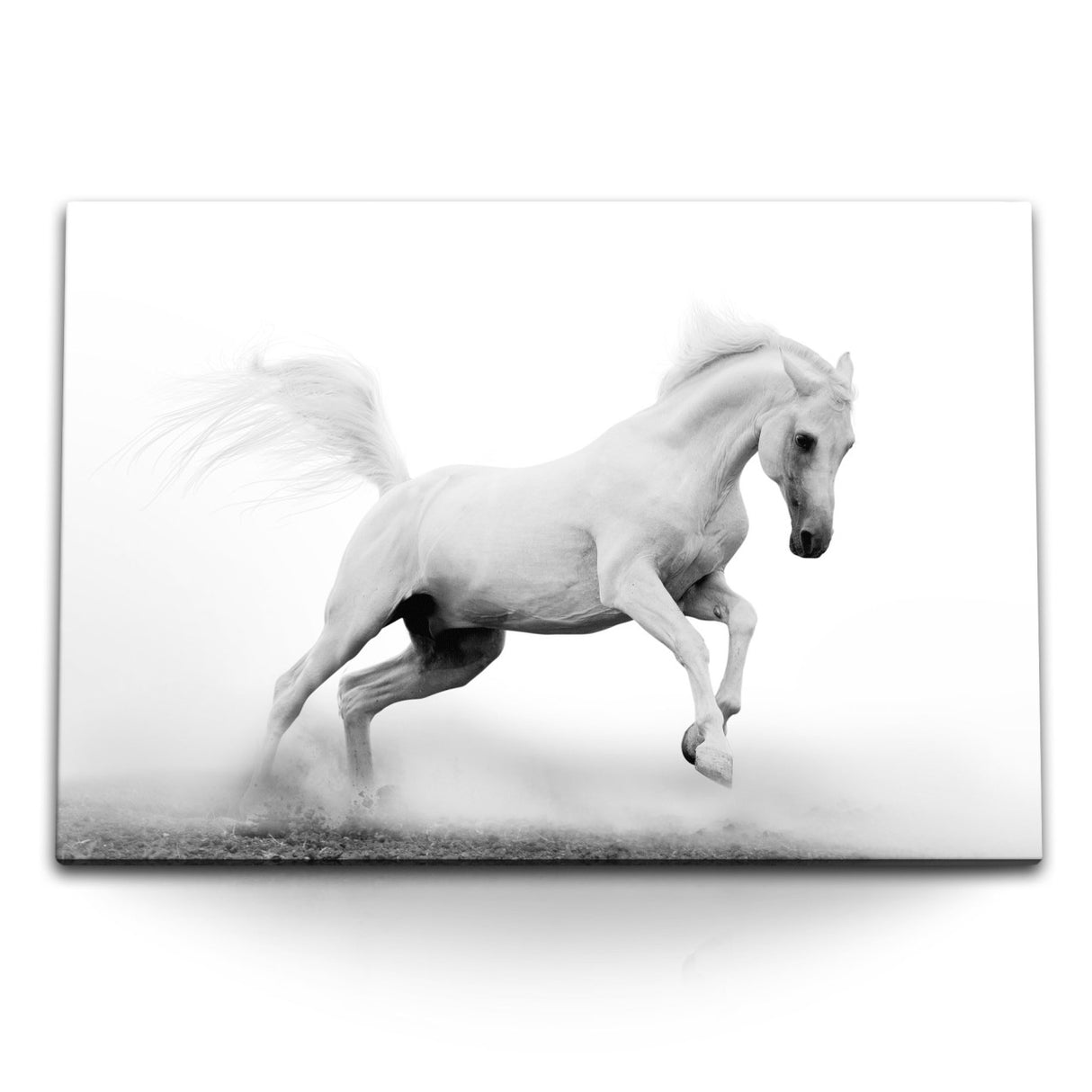 STOCKS_0460ovyk7l7unxk4o_1280x1280.jpg