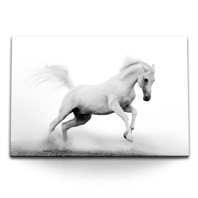 STOCKS_0460ovyk7l7unxk4o_1280x1280.jpg