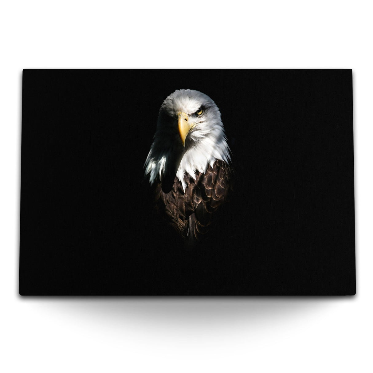 STOCKS_2019rqT9PwXL0Wj1d_1280x1280.jpg