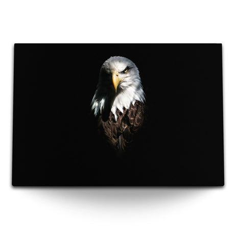 STOCKS_2019rqT9PwXL0Wj1d_1280x1280.jpg