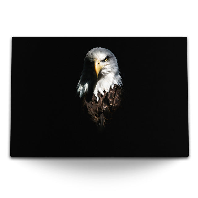 STOCKS_2019rqT9PwXL0Wj1d_1280x1280.jpg