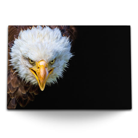 STOCKS_1969WrW4MMrJSfVkd_1280x1280.jpg
