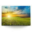 STOCKS_03054qdyqtD96oOn3_1280x1280.jpg
