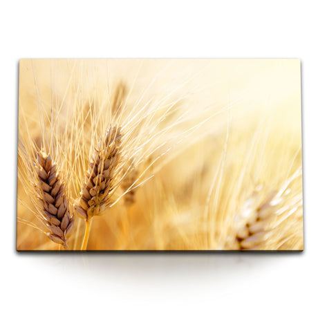 STOCKS_0721j4nIfGGmHdcmq_1280x1280.jpg