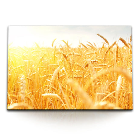 STOCKS_1026nWw6gXJF3lETW_1280x1280.jpg