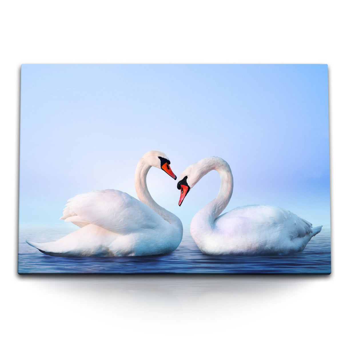 STOCKS_2045cY35UqeLpU7Xb_1280x1280.jpg