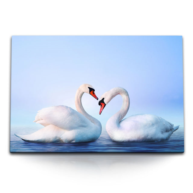 STOCKS_2045cY35UqeLpU7Xb_1280x1280.jpg