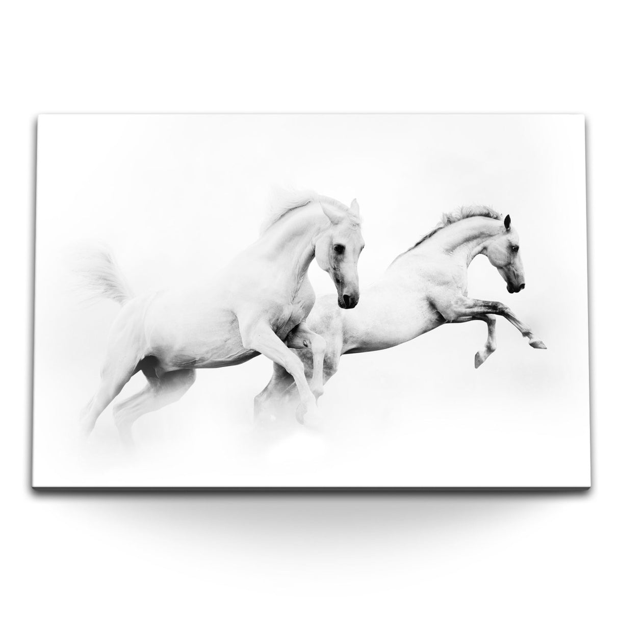 STOCKS_16924UAA6nFsX02j5_1280x1280.jpg