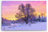 Wandbild 120x80cm Baum im Winter Schnee Sonnenuntergang Natur Wald