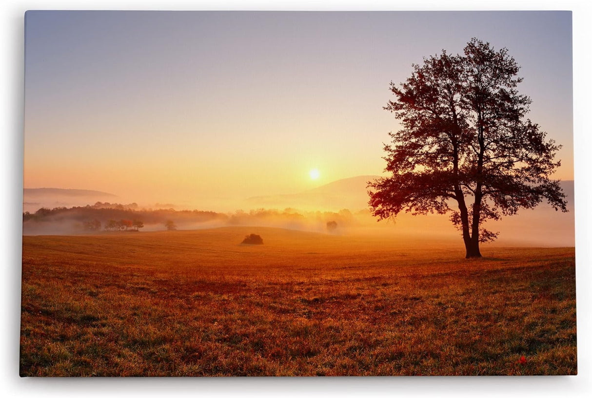 Paul Sinus Wandbild 120x80cm Baum Morgentau Sonnenaufgang Feld Natur Nebel