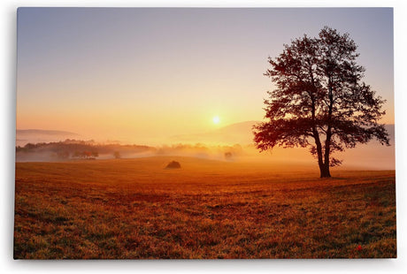 Paul Sinus Wandbild 120x80cm Baum Morgentau Sonnenaufgang Feld Natur Nebel