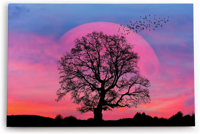 Paul Sinus Wandbild 120x80cm Baum Vollmond Nacht Fantasievoll Vögel Rosa