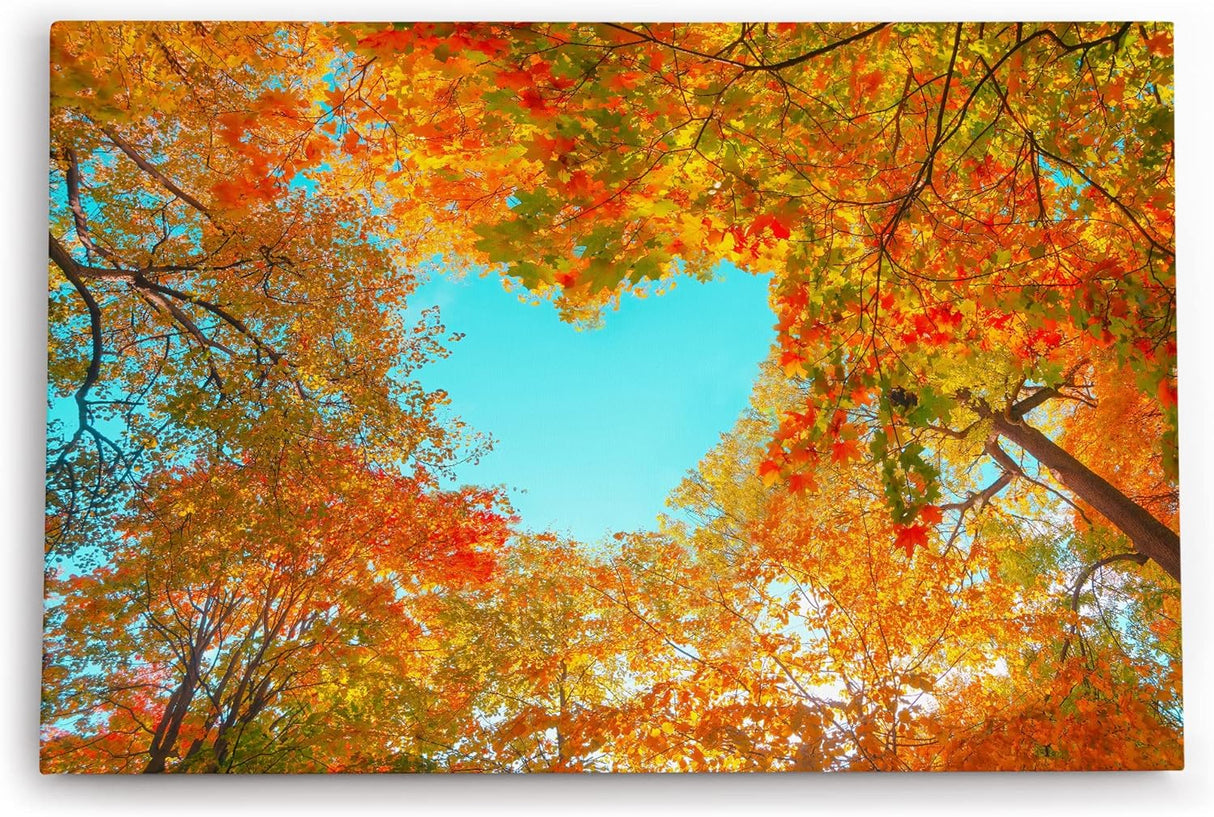 Paul Sinus Wandbild 120x80cm Baumkrone in Herzform Herbstblätter Herbst blauer Himmel