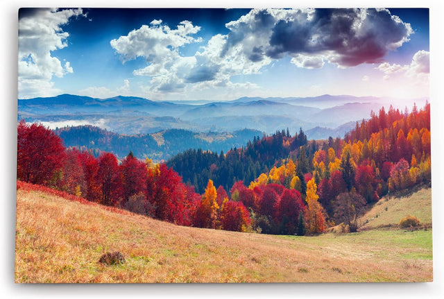 Paul Sinus Wandbild 120x80cm Berge Tannenwald Wald Wolken Natur Landschaft