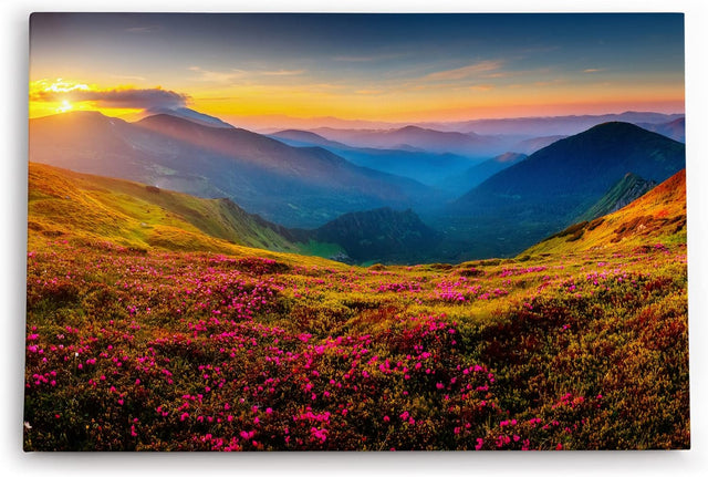 Paul Sinus Wandbild 120x80cm Berglandschaft Alpen Wiese Sommerwiese Sonnenuntergang
