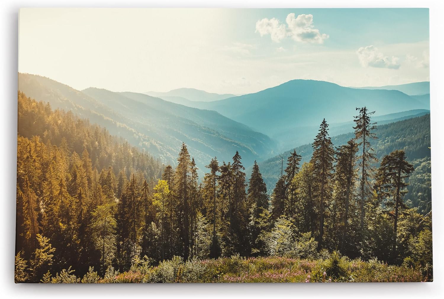 Paul Sinus Wandbild 120x80cm Berglandschaft Berge Gebirge Tannen Natur