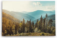 Paul Sinus Wandbild 120x80cm Berglandschaft Berge Gebirge Tannen Natur