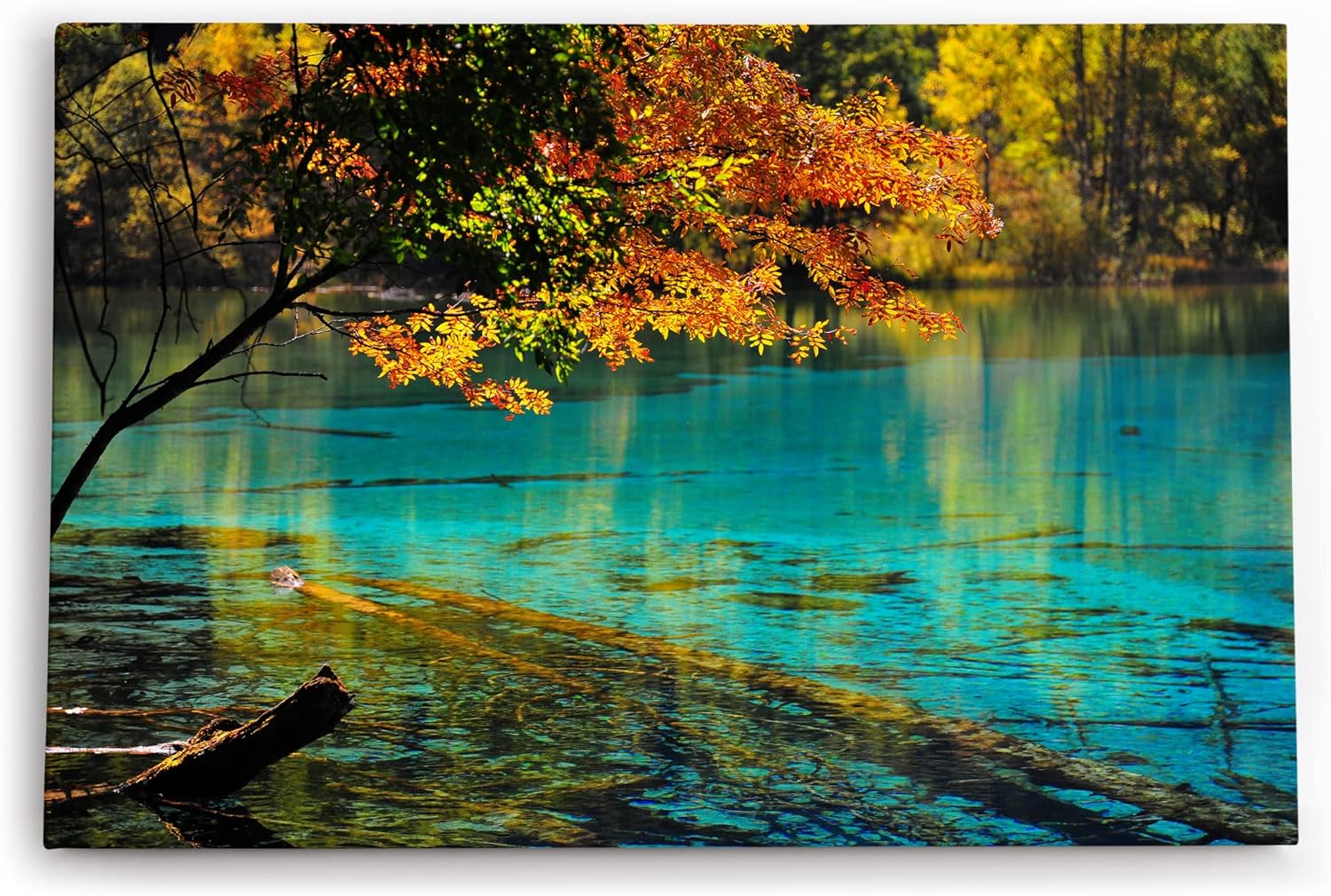 Paul Sinus Wandbild 120x80cm Bergsee Natur Wasser Bäume See Sonnenstrahlen Türkis