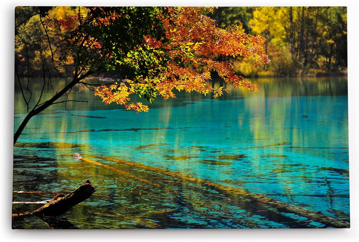 Paul Sinus Wandbild 120x80cm Bergsee Natur Wasser Bäume See Sonnenstrahlen Türkis
