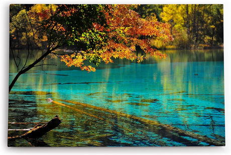 Paul Sinus Wandbild 120x80cm Bergsee Natur Wasser Bäume See Sonnenstrahlen Türkis