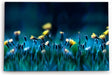 Paul Sinus Wandbild 120x80cm Blumen Blumenfeld Wildblumen gelbe Blüten Kunstvoll
