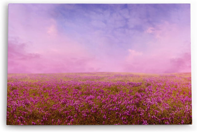 Paul Sinus Wandbild 120x80cm Blumenfeld Wildblumen Feld Blumen Lavendel