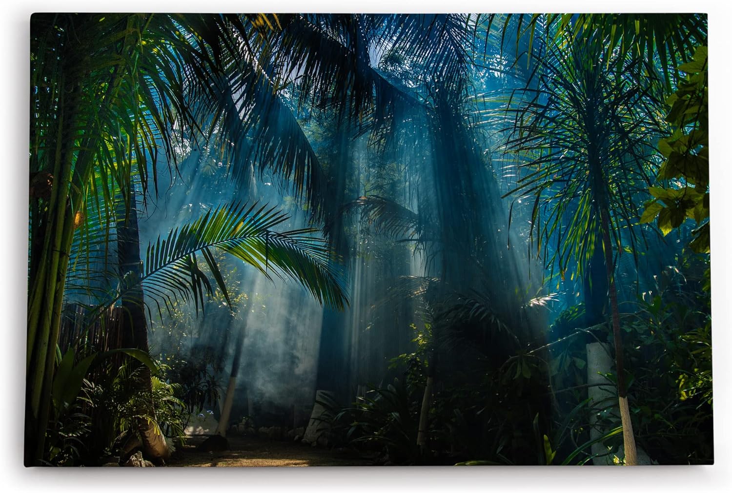 Paul Sinus Wandbild 120x80cm Dschungel Palmen Tropisch Lichtstrahlen Grün Bäume