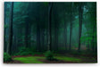 Paul Sinus Wandbild 120x80cm Dunkler Wald Bäume Natur Grün Moos