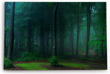 Paul Sinus Wandbild 120x80cm Dunkler Wald Bäume Natur Grün Moos