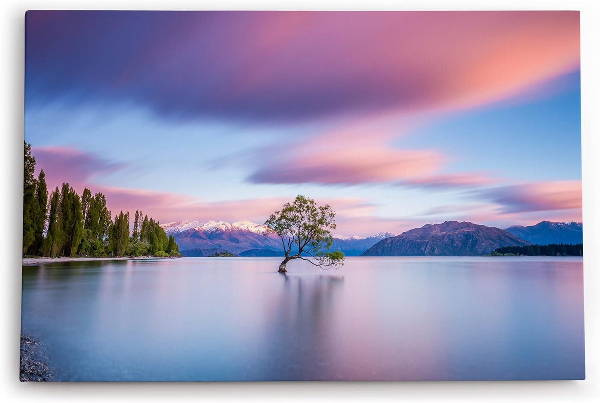 Paul Sinus Wandbild 120x80cm Einsamer Baum im See Berge Schneegipfel Natur
