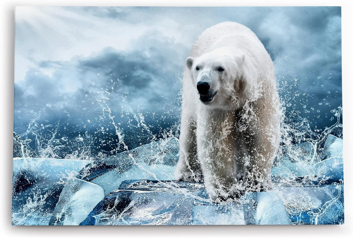 Paul Sinus Wandbild 120x80cm Eisbär Eis Wild Fotokunst Blau Ausdrucksstark Wasser
