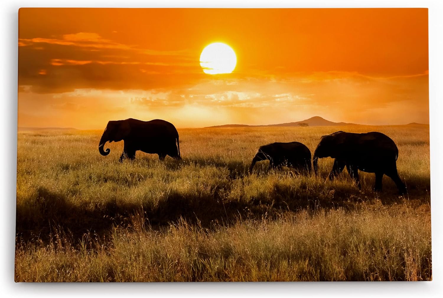 Paul Sinus Wandbild 120x80cm Elefanten Elefantenherde Afrika Natur Landschaft Sonne