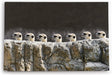 Paul Sinus Wandbild 120x80cm Erdmännchen Familie Tierfotografie Lustig