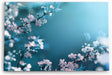 Paul Sinus Wandbild 120x80cm Frühling Baumblüten weiße Blüten Zweige Blau