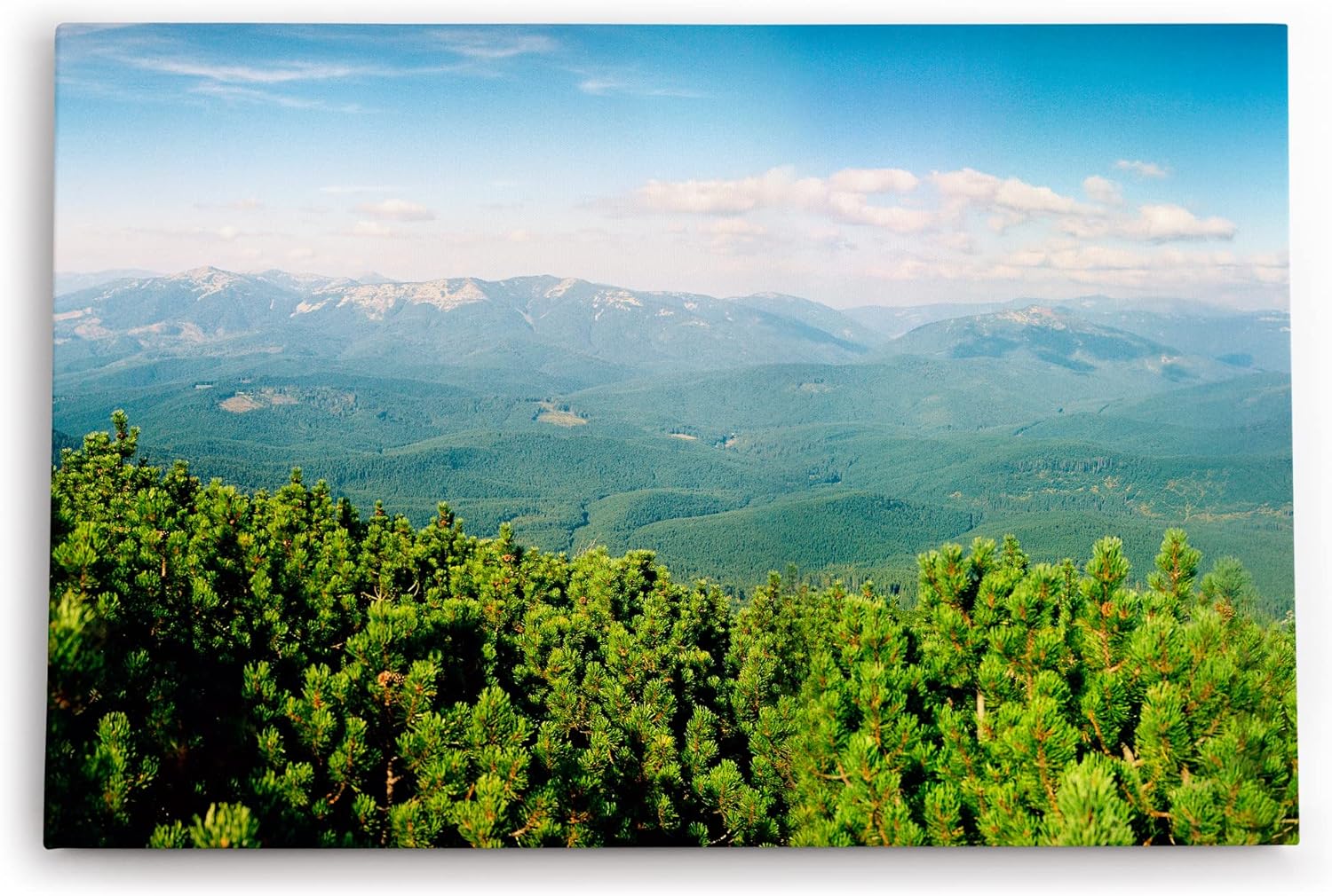 Paul Sinus Wandbild 120x80cm Grüne Berglandschaft Berge Hügel Natur Wald