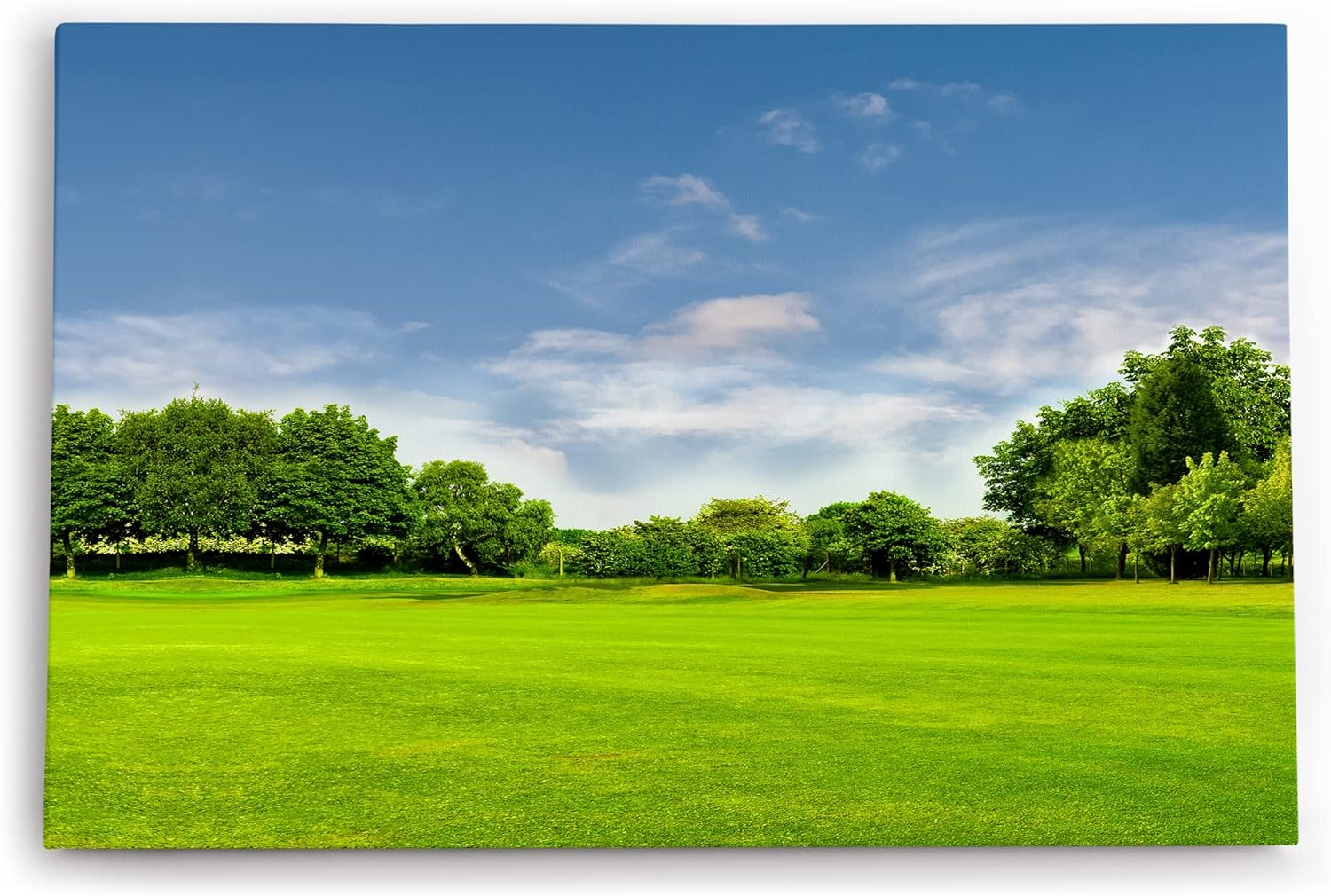 Paul Sinus Wandbild 120x80cm Grüne Wiese Bäume Natur Landschaft Sommer