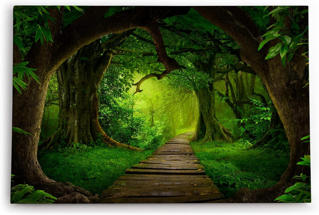 Paul Sinus Wandbild 120x80cm Grüner Wald Märchenhaft Bäume Holzweg Märchenwald