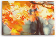 Paul Sinus Wandbild 120x80cm Herbst Herbstblatt Baum Zweige Äste Sonnenschein