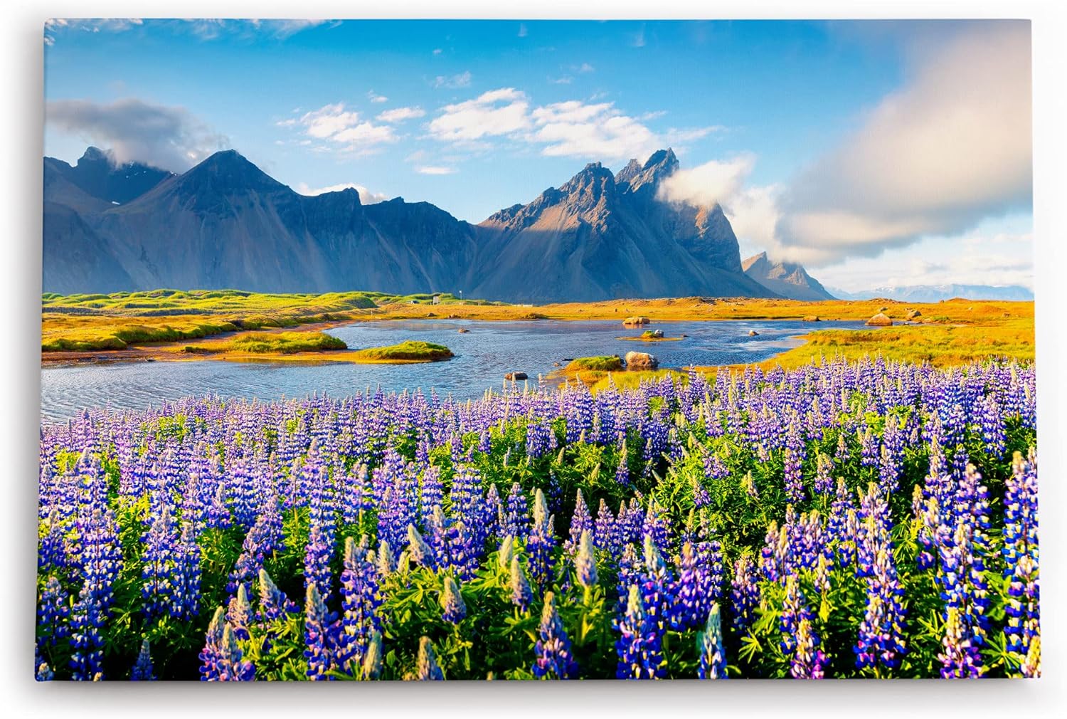 Paul Sinus Wandbild 120x80cm Island Landschaft Berg Blumen Blau See Natur