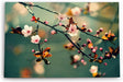 Paul Sinus Wandbild 120x80cm Kirschblüten Frühling Ast Zweig Baumblüten Blüten
